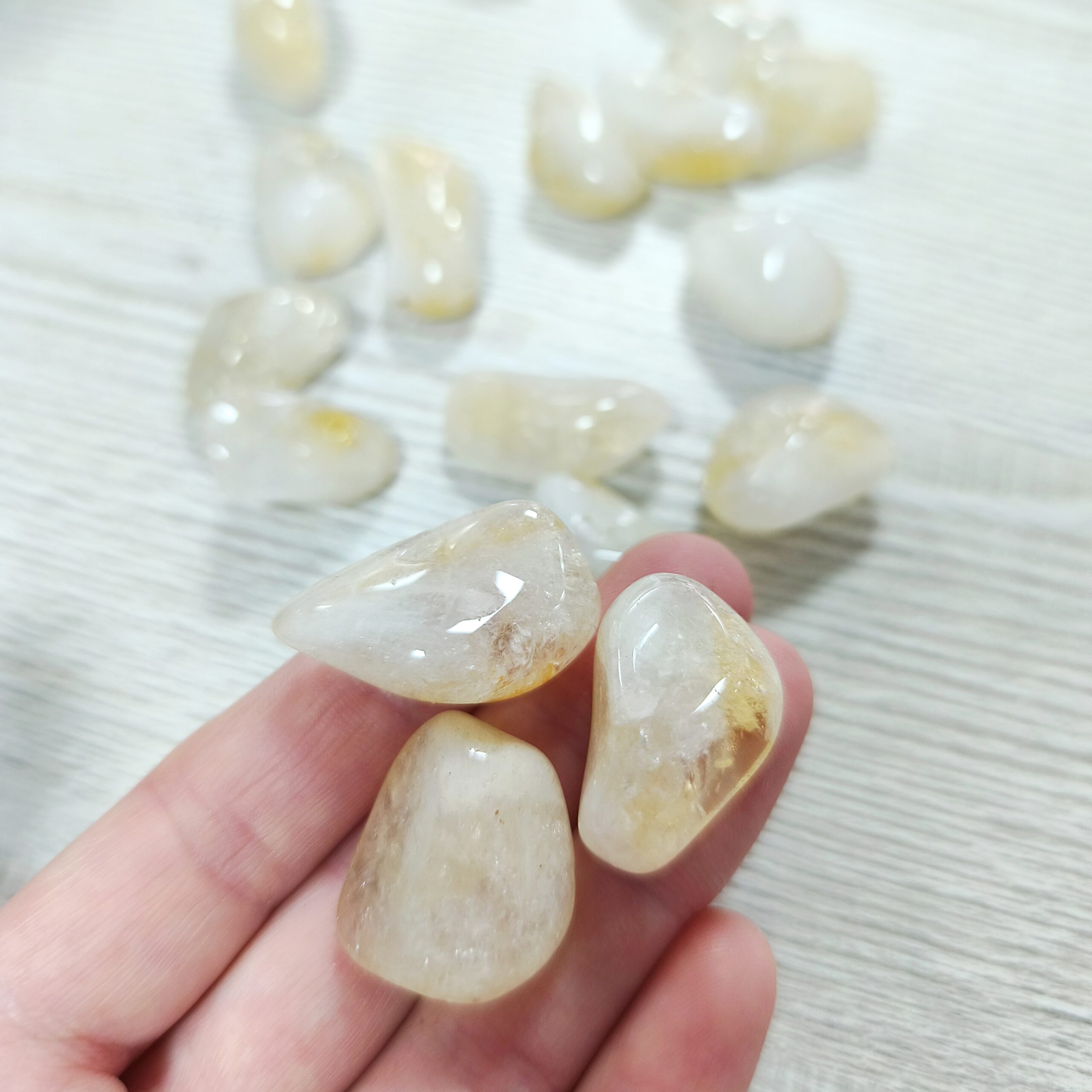 Citrino – Canto Rodado