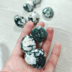 Ágata Árbol – Canto Rodado