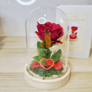 Rosa Encantada en Cúpula con Luz LED – Inspirada en La Bella y la Bestia